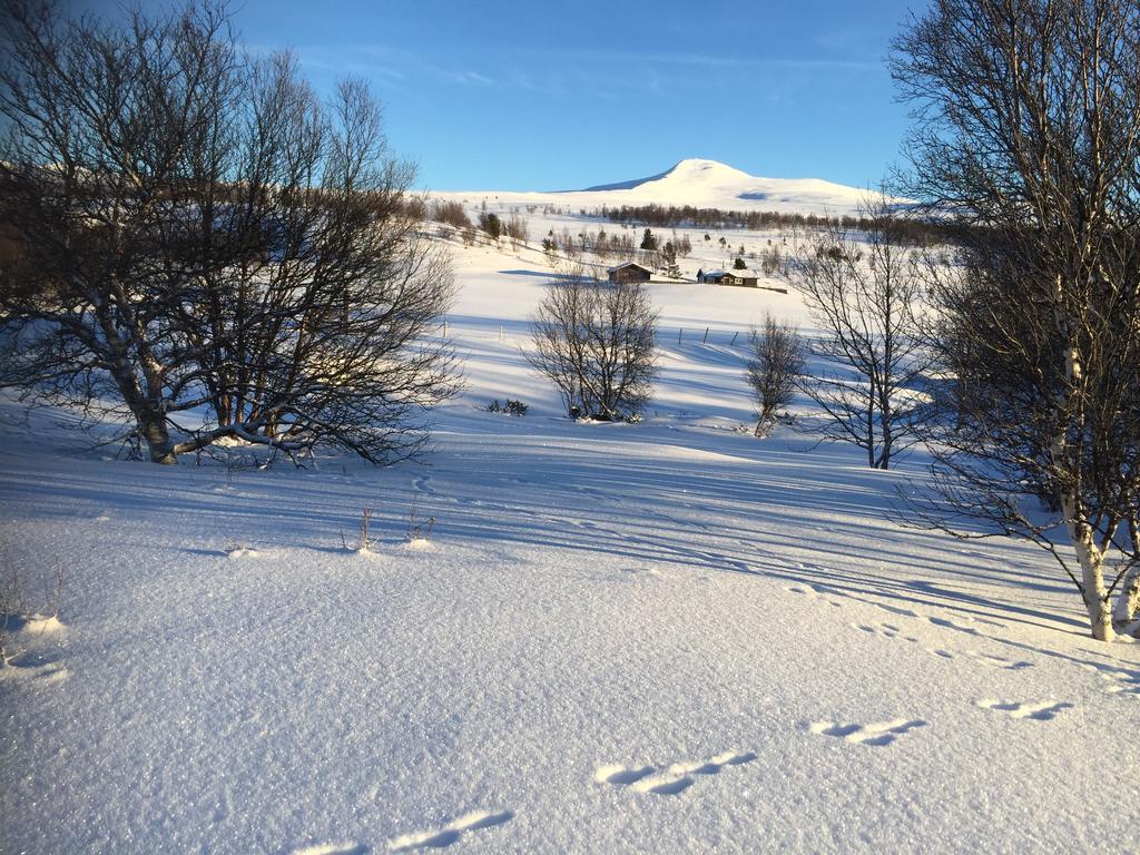 Putten Seter Hovringen Экстерьер фото