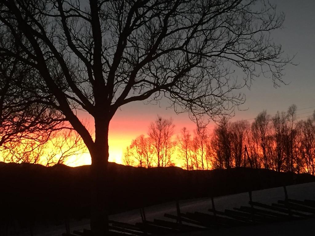 Putten Seter Hovringen Экстерьер фото